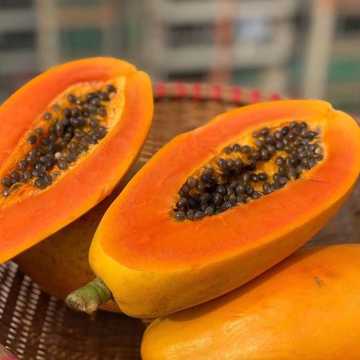 空运树熟木瓜（3个/5斤装） 商品图0