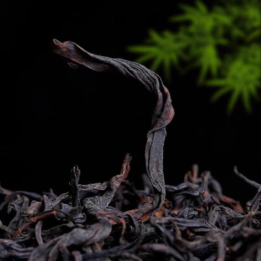 41      2025新茶云南云南野生古树滇红茶正宗浓香型红茶叶自己喝250g新品发布拍一发二共一斤 商品图2