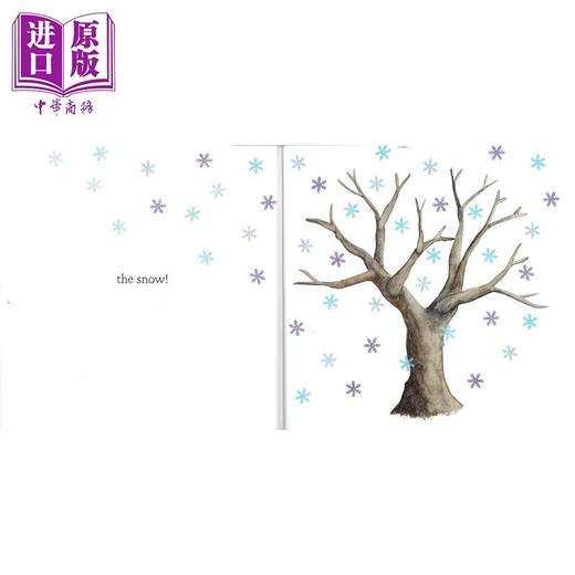 【中商原版】Christie Matheson 大自然动植物科普绘本2册套装 英文原版轻敲魔法树Tap the Magic Tree Plant the Tiny Seed 商品图4