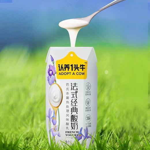 认养一头牛（全脂纯牛奶/经典原味酸奶）200g*10盒/3箱【FY】 商品图7