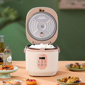 康佳（KONKA）智能电饭煲多功能煲汤煮粥家用2-5人煮粥柴火饭电饭锅 KDFB-3050-M