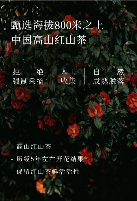 林清轩山茶花修护精华油 商品图2