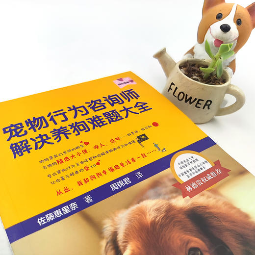 宠物行为咨询师解决养狗难题大全（我的宠物书） 商品图2