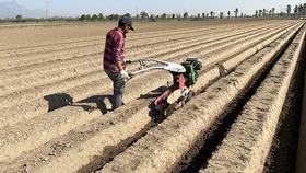 大葱移栽开葱沟,您真的了解葱沟参数吗?