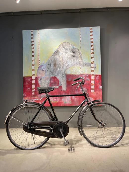 鳳凰牌老自行车，顺丰包邮 商品图6