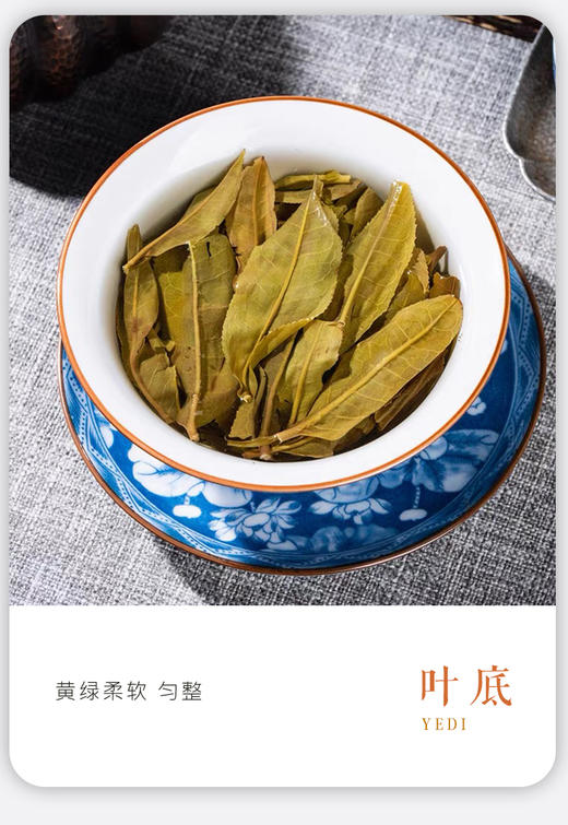 生普 | 2023年德丰昌 凤凰窝古树100g/饼 小饼 商品图4