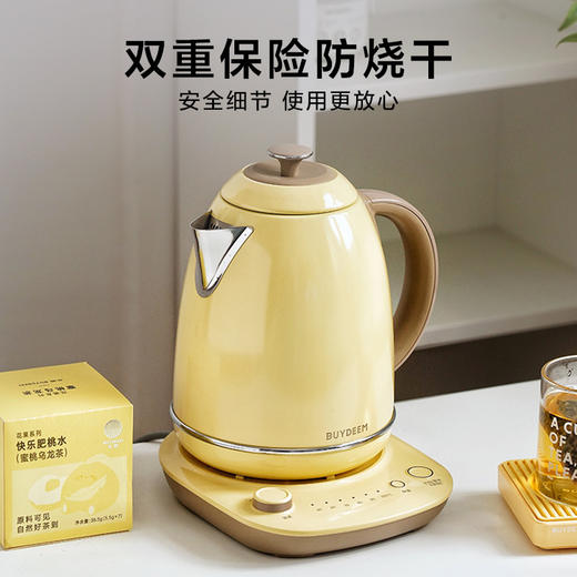 北鼎（Buydeem） 烧水壶 恒温电热水壶 便携式热水壶电水壶家用全自动恒温水壶大容量水壶自动断电 【单壶】浅杉绿K740C 商品图1