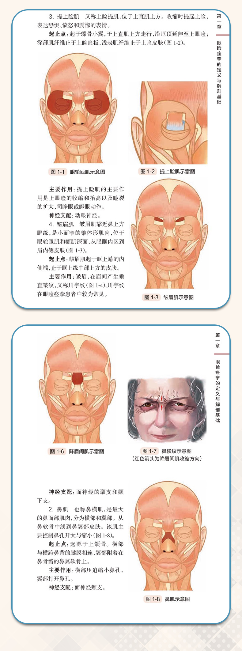 红蓝_05.jpg