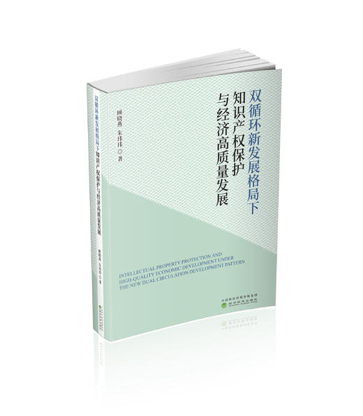 双循环新发展格局下知识产权保护与经济高质量发展 商品图0