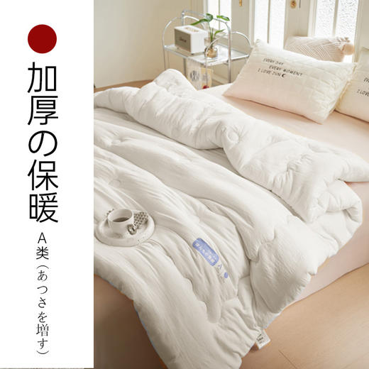 【亲肤大豆被】亲肤大豆被纯色冬被双人被芯秋冬加厚被子 商品图0