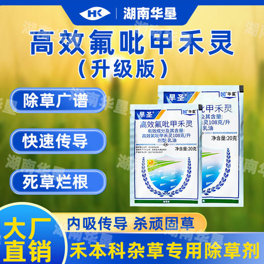 高效氟吡甲禾灵安徽华星旱圣牛筋草游草一年生禾本科杂草除草剂 商品图0