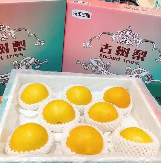 华山古树梨 |水果 商品图0