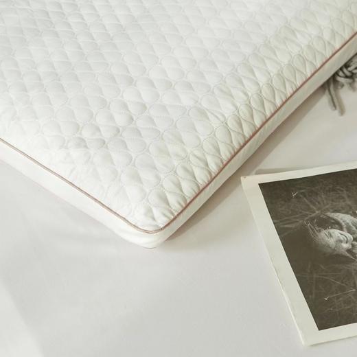 爱为家天丝荞麦枕 商品图3