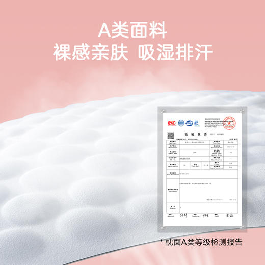 一人一枕焕颜枕（独立五分区设计） 商品图5