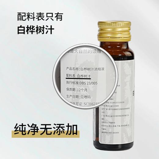 天然白桦树汁浓缩原液 50ml*10瓶 天然0添加 生命之水 商品图2