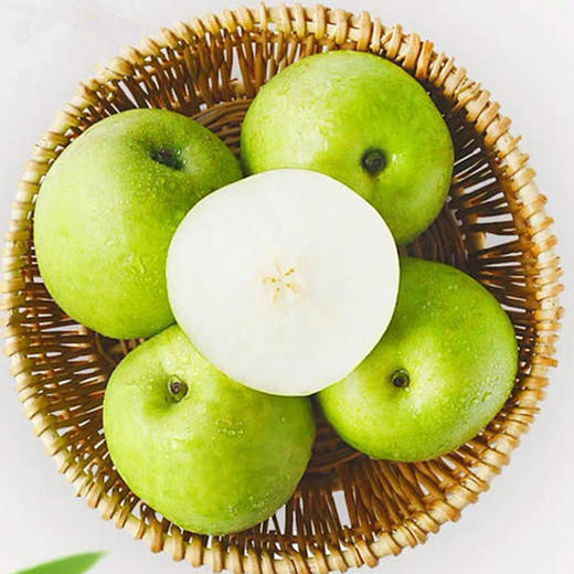 【黄陵翡翠梨】新鲜陕西黄陵翡翠梨12枚大果礼盒装净重约8.5斤 商品图5