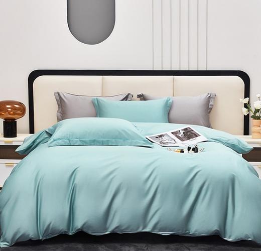 红蜻蜓100支长绒棉贡缎四件套HQT-1032 商品图0