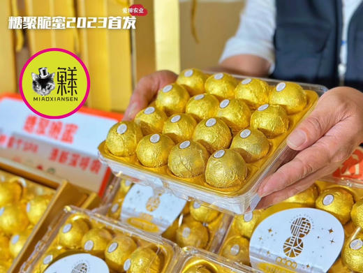 🛵费列罗款～脆蜜金柑（纯甜金桔）16颗/盒 商品图1