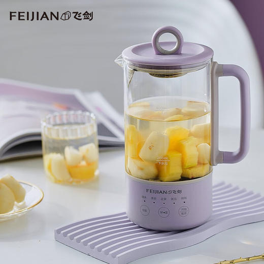 【家居】飞剑feijian迷你养颜壶 FJ8001 商品图0