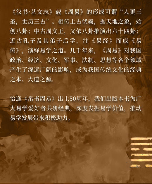 帛书周易 商品图4