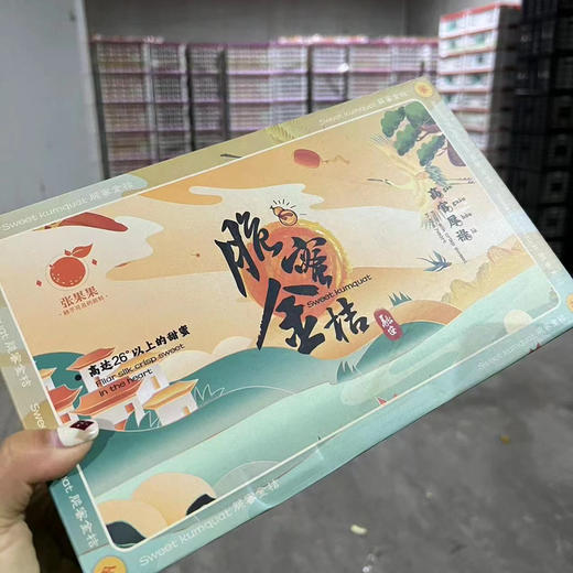 【周三送|特大脆皮金桔】|秋冬首选水果|自然成熟采摘纯甜无酸|皮薄肉嫩香甜个头大|颜值与口感并存    1.8斤/箱 商品图3