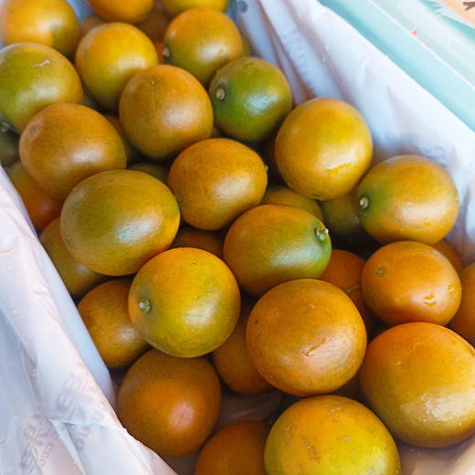 【周三送|特大脆皮金桔】|秋冬首选水果|自然成熟采摘纯甜无酸|皮薄肉嫩香甜个头大|颜值与口感并存    1.8斤/箱 商品图1