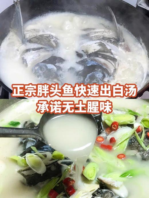 有机雄鱼，1条，自然生长，无泥腥味 商品图3