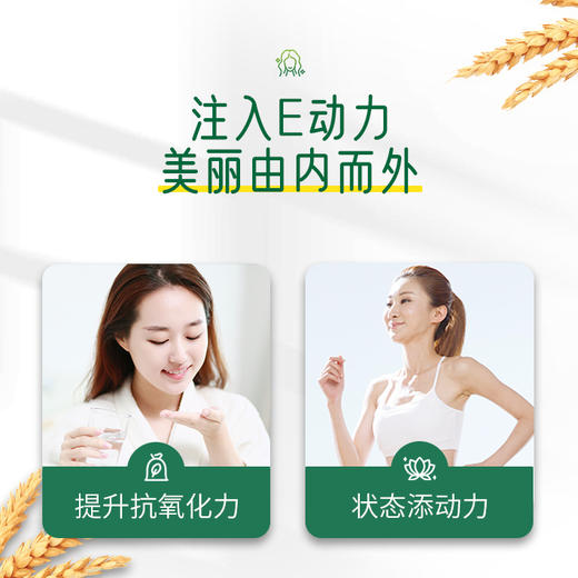 安利纽崔莱®小麦豚芽油营养胶囊120粒 商品图3