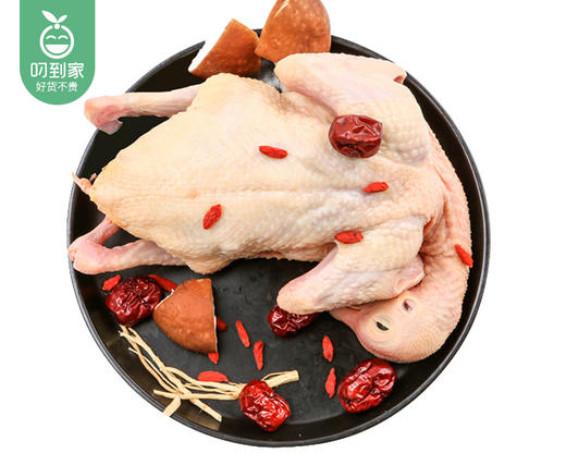 洛江山林放养大鹧鸪鸟（杀完带内脏300g±25g/只） 商品图3