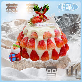 【会员专享价】【莓莓雪山】纯动物奶油系列——旗舰店专属定制款圣诞节主题蛋糕【除夕当天下午三点后订单暂不预约】【1月29日恢复正常预约】