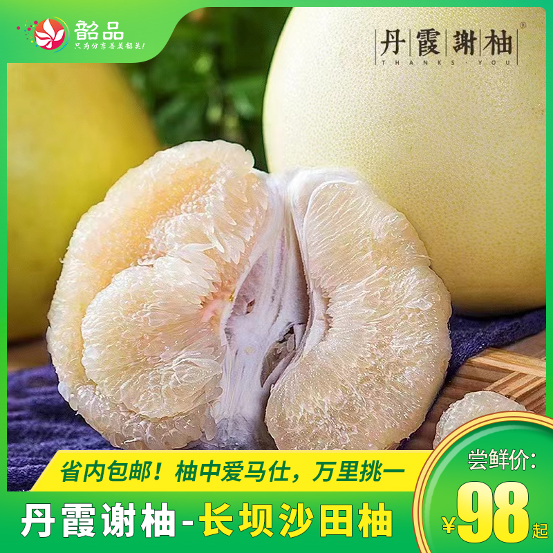 【韶关丹霞谢柚】长坝沙田柚|98元起抢购8斤礼盒装4个，158元抢购14斤实惠袋装，纯甜蜜香，送礼佳品，全国地理标志产品，省内包邮~