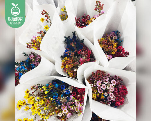 【预售-12月22日配送】混色开花腊梅/1扎（3-5枝） 商品图5