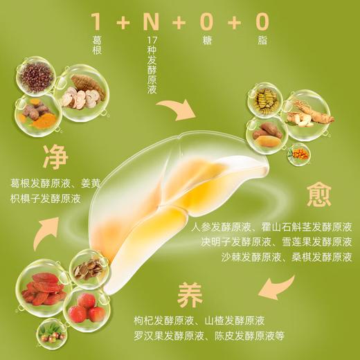 新养说 天然葛根 复合原液 50ml*10瓶 商品图3