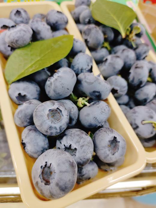 巨无霸串蓝莓一盒 商品图3