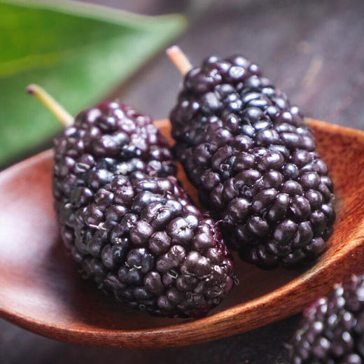 福东海 黑桑葚250克 即食桑椹干无沙子 桑椹子桑葚果果干桑果干泡茶泡水泡酒 商品图2