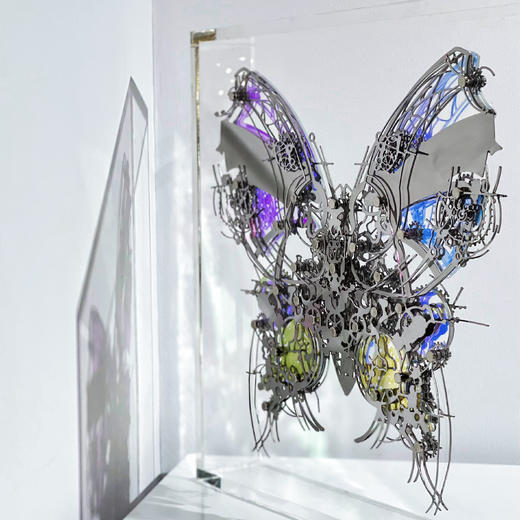 夏航《俱飞浮碟》99版 商品图4