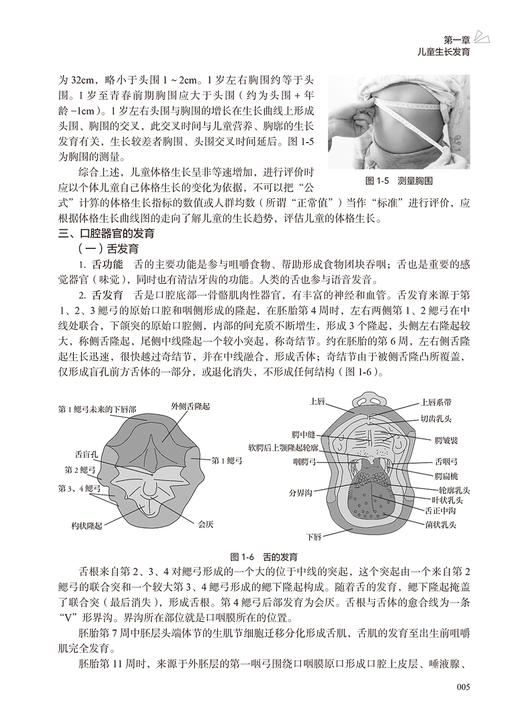 儿童摄食吞咽障碍评估与治疗 周惠嫦 儿童摄食吞咽基础 障碍评估方法临床治疗策略讲解康复 病例分析 人民卫生出版社9787117354646 商品图4