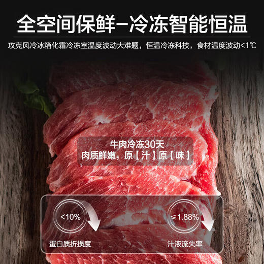 【星珀系列】海尔冰箱502升零距离嵌入全空间保鲜 风冷无霜一级能效双循环除菌净味法式多门对开门家用星珀系列冰箱 502L星蕴银+全空间保鲜+零距离嵌入+EPP超净 商品图2