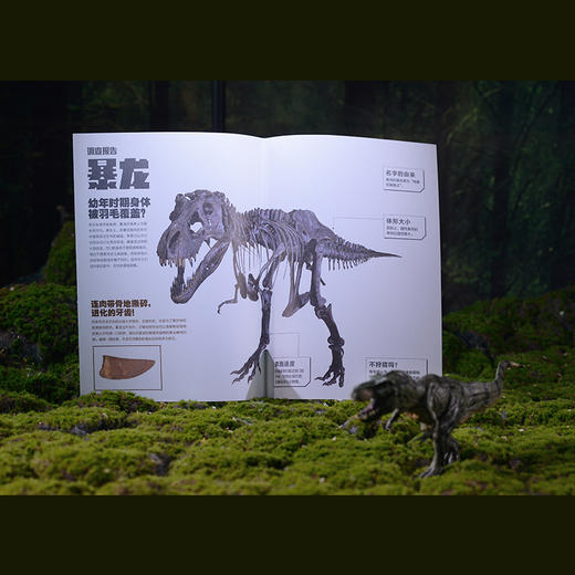 《恐龙有绝招》 商品图9