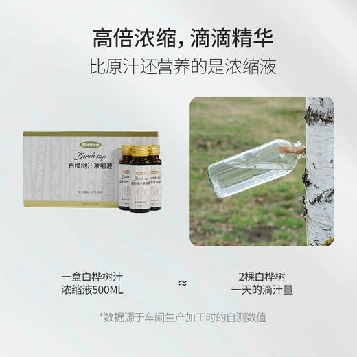 天然白桦树汁浓缩原液 50ml*10瓶 天然0添加 生命之水 商品图3