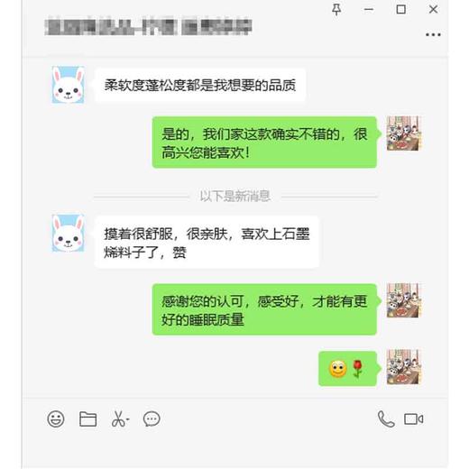 进口95白鹅绒被四季通用被子冬被加厚保暖羽绒被 石墨烯无痕 商品图13