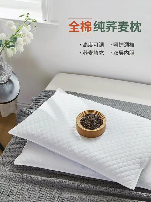 爱为家天丝荞麦枕 商品图0