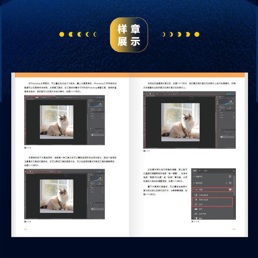 摄影后期核心技法 Photoshop+ACR+AIGC 摄影书籍摄影后期ps教程书AI修图照片调色影调曝光 商品图3