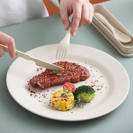 小麦秸秆刀叉勺三件套餐具套装学生便携旅行户外北欧风塑料餐具盒 商品图2