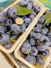 巨无霸串蓝莓一盒 商品缩略图4
