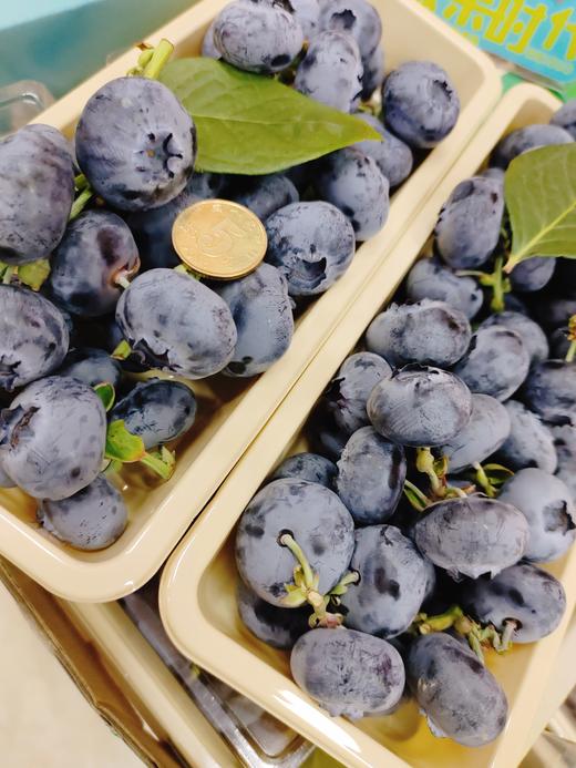 巨无霸串蓝莓一盒 商品图4