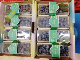 巨无霸串蓝莓一盒