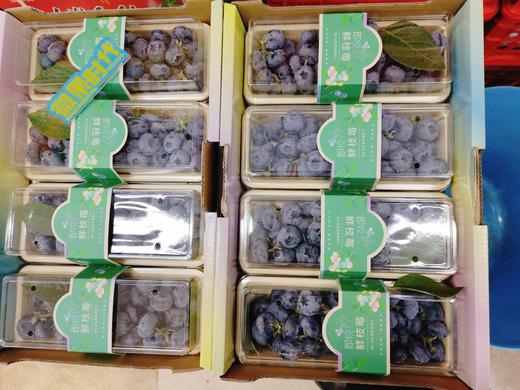 巨无霸串蓝莓一盒 商品图0