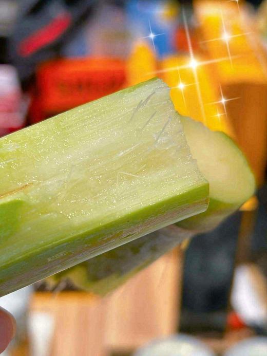 粉丝秒杀9.9元黄金大甘蔗一根 商品图0