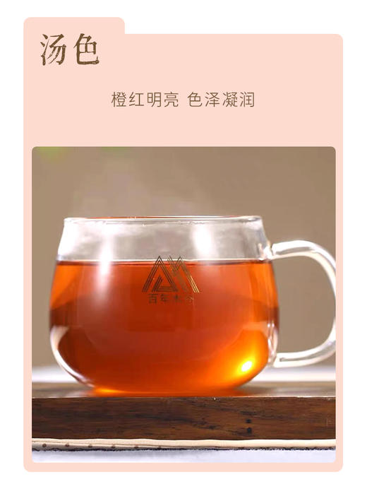 茯砖 黑茶 | 2015年百年木仓茯砖 高端商务袋泡茶12泡*3g（36g）） 商品图2